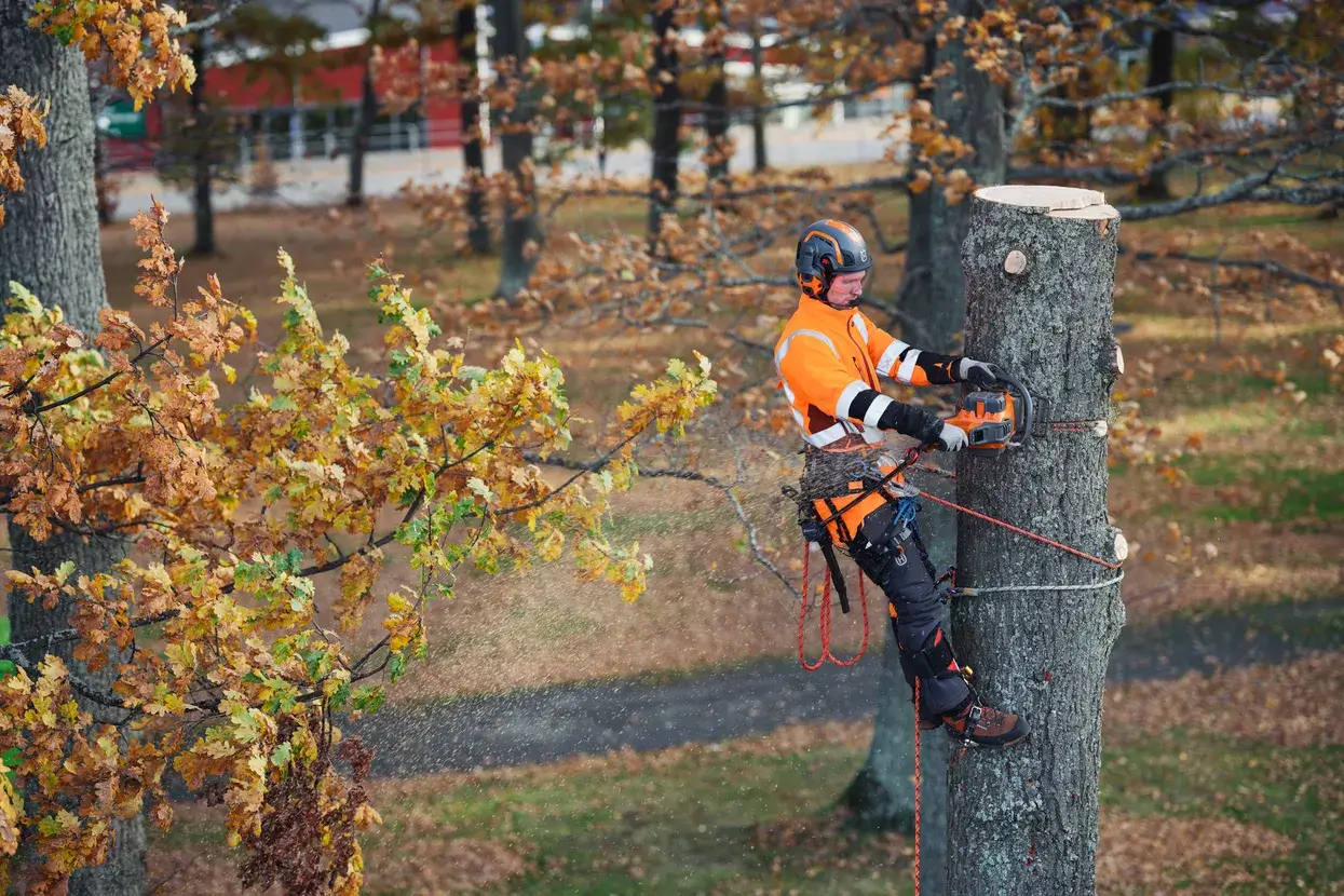 Husqvarna 550i XP®