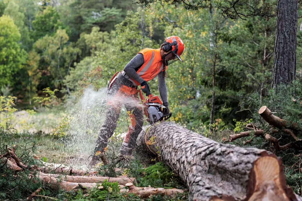 Husqvarna 550 XP® G Mark II