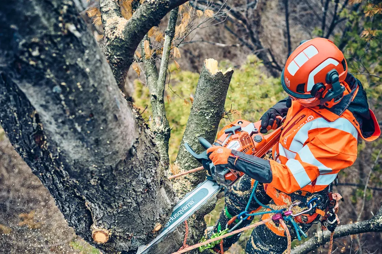 Husqvarna 560 XP® Mark II