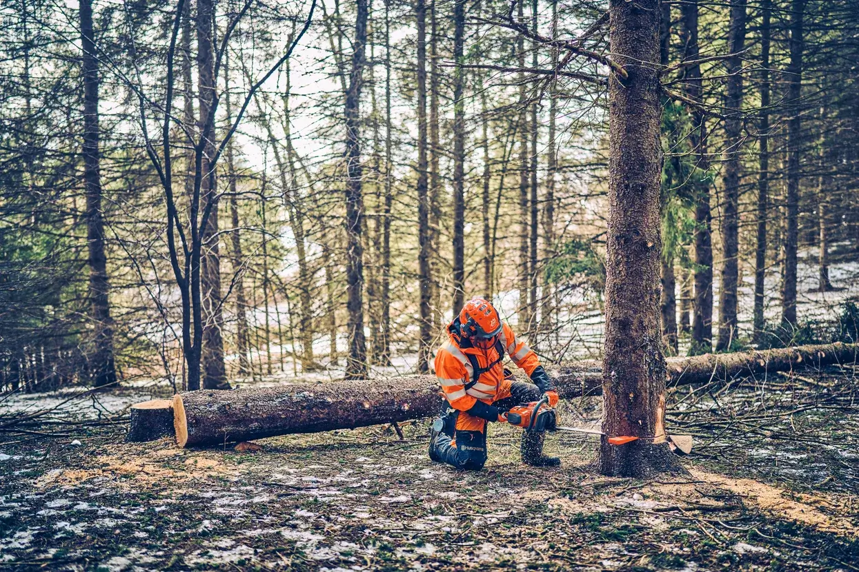 Husqvarna 562 XP® Mark II