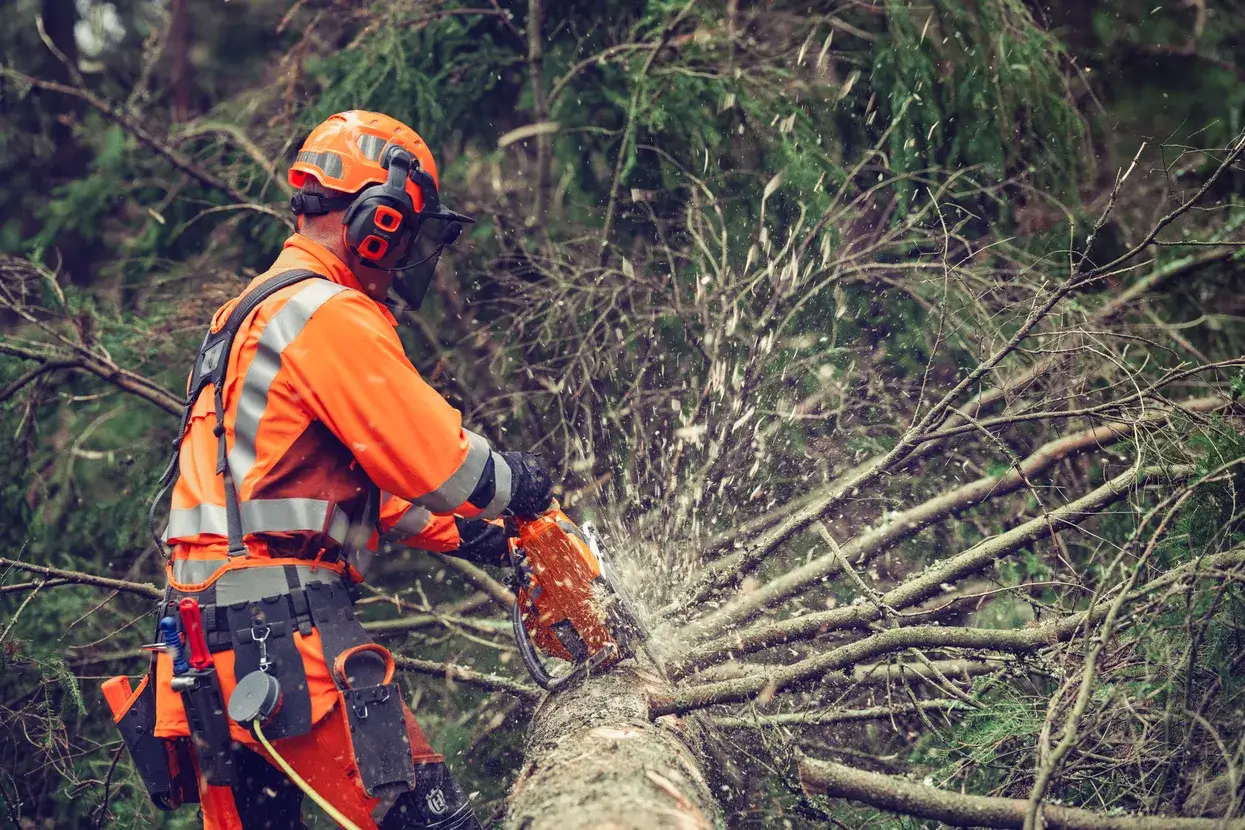 Husqvarna 564 XP® Fuel Inject