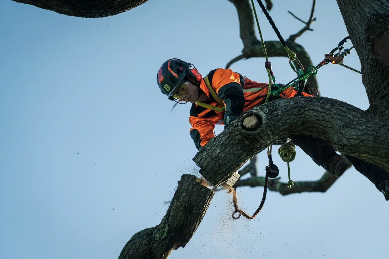 Husqvarna T540i XP® G