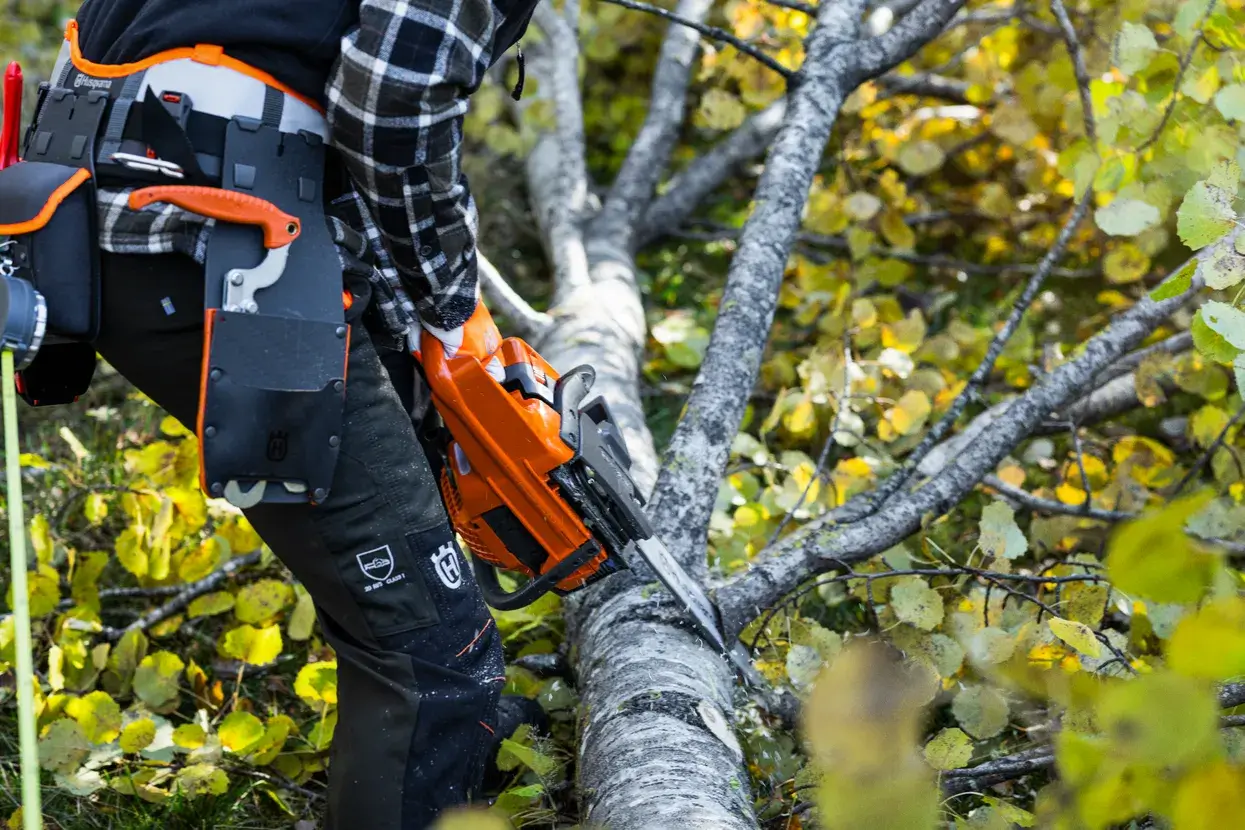 Husqvarna 445S