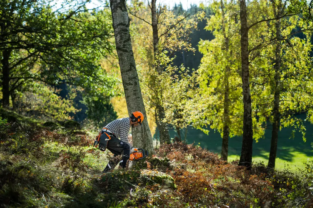 Husqvarna 450S