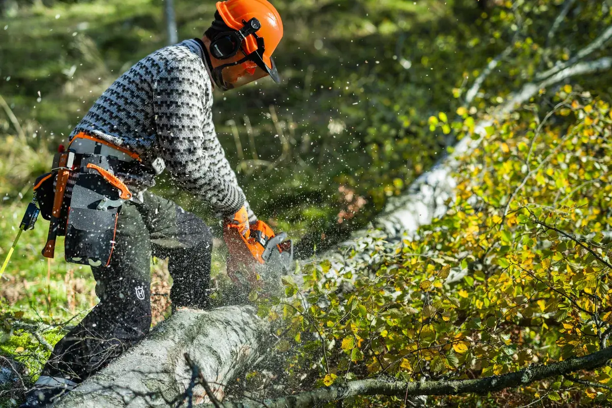 Husqvarna 450S