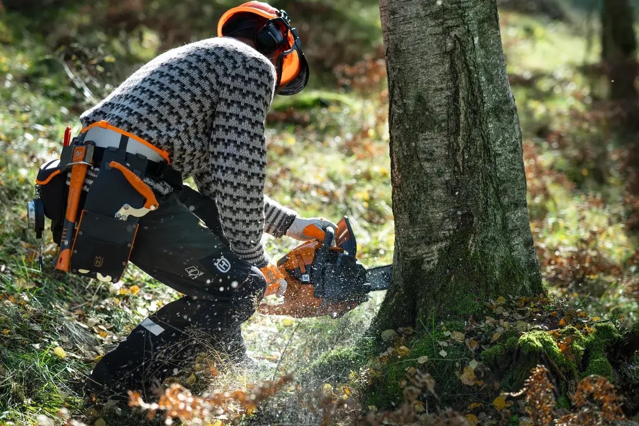 Husqvarna 450S