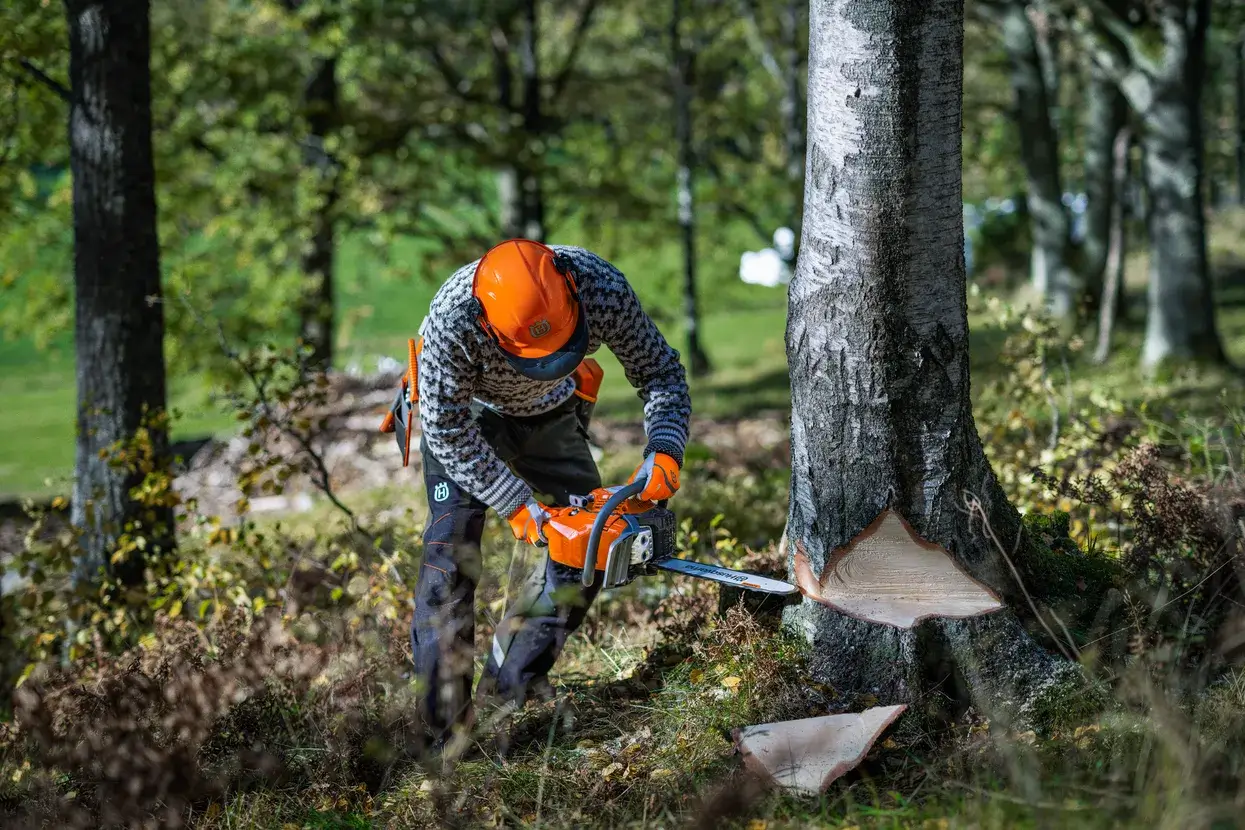 Husqvarna 450S